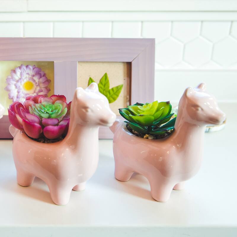 SET OF 2 Artificial Plant Succulent in 5.5" Llama Pot - ONE-SIZE
