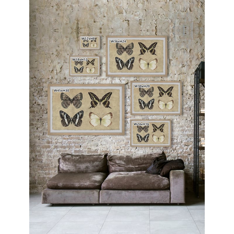 Her Wings Unfolded Framed Print