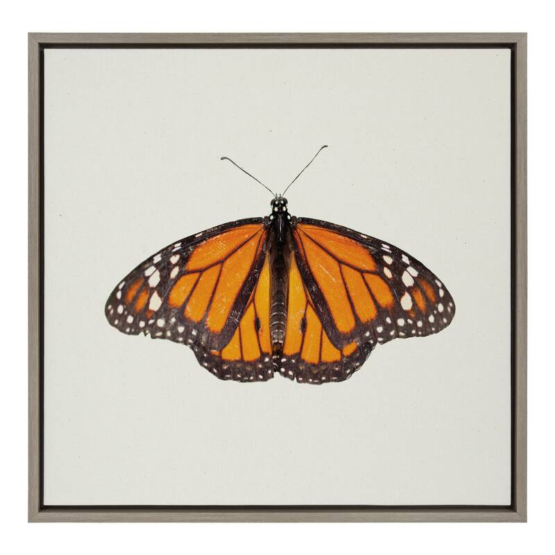 Kate and Laurel Sylvie Monarch Butterfly Canvas by Robert Cadloff - 22x22 - Plastic - Grey