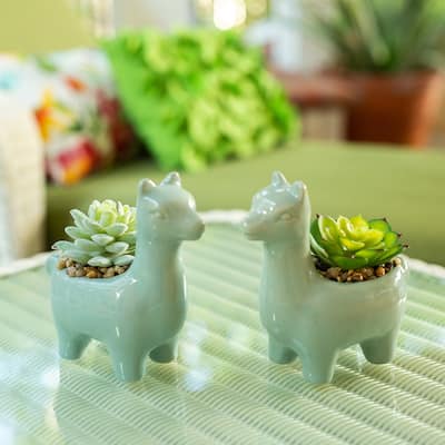 SET OF 2 Artificial Plant Succulent in 5.5" Llama Pot - ONE-SIZE