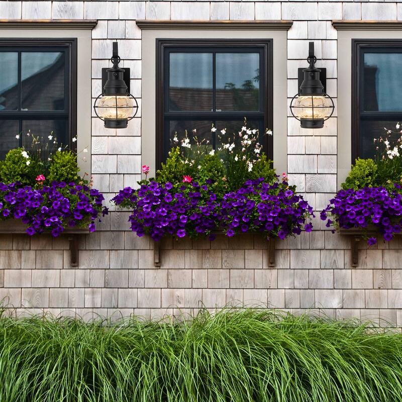 LED Outdoor Matte Black Exterior Lantern Wall Sconce Light