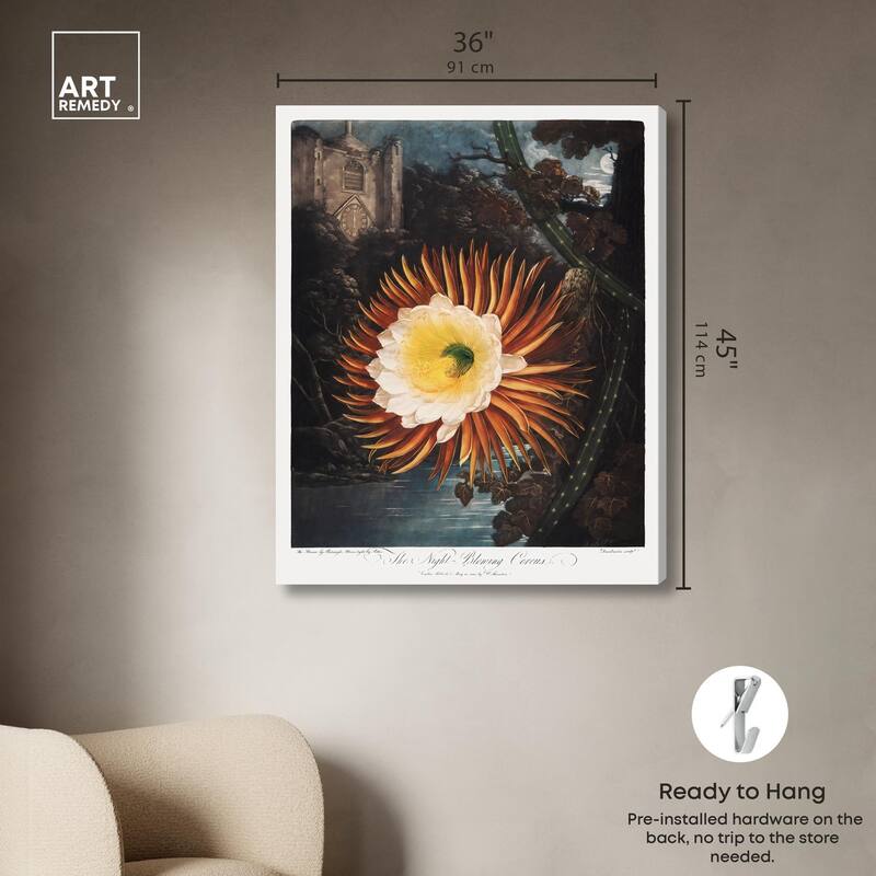 Night-Blowing Cereus 1807 Canvas by Art Remedy, Gallery Wrapped