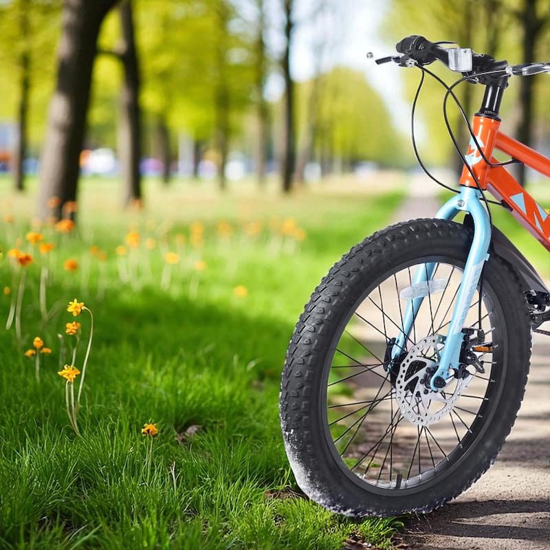 20 Inch Kids Fat Tire Mountain Bike, Boys & Girls 7-Speed Shimano with Dual Disc Brakes & Suspension Fork