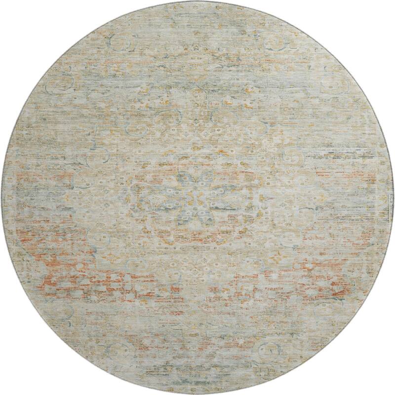 Premium Washable Super Soft Vintage Traditional Mayfield Rug