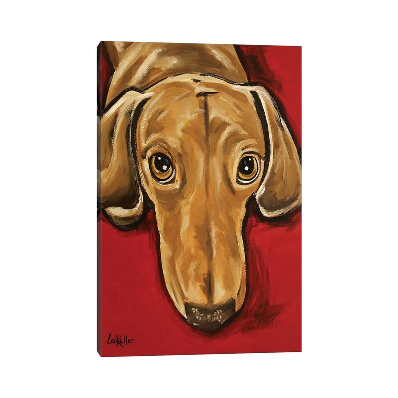 iCanvas "Sammy Dachshund" by Hippie Hound Studios Canvas Print