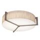 Option Jute