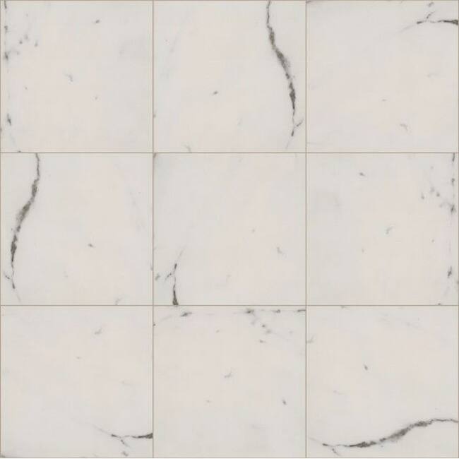 Shaw 478TS Universe - 22" x 22" Floor and Wall Tile - Matte Visual - - Haro