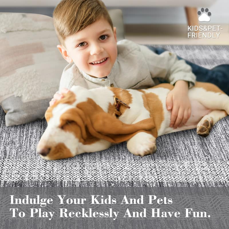Modern Geometric Area Rugs for Living Room Bordered Rugs Indoor Printed Rug for Bedroom, Office
