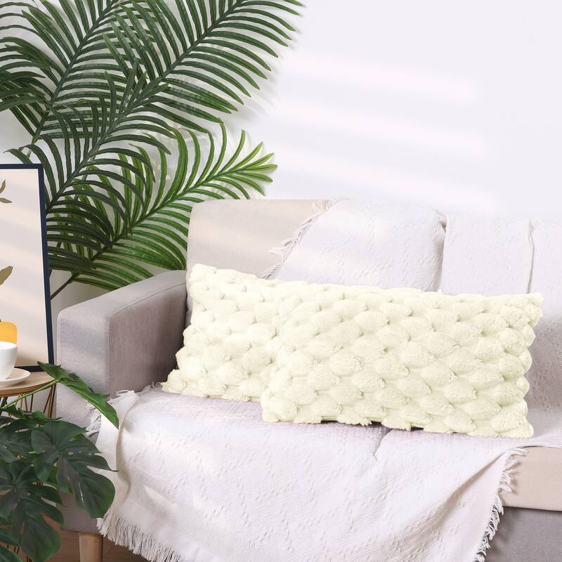 2 Pack Soft Throw Pillow Covers Decorative Fuzzy Plush Cushion Covers