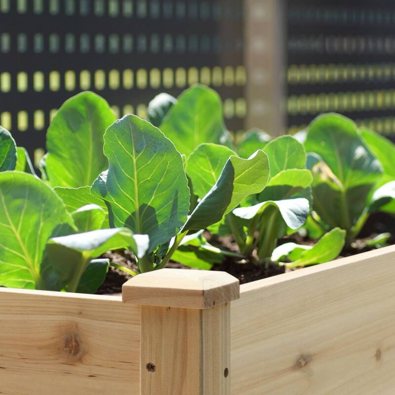 VEIKOUS Raised Garden Bed Outdoor, 6.8 Cu.Ft Large Planting Space, Solid Cedar Wood Planter Box