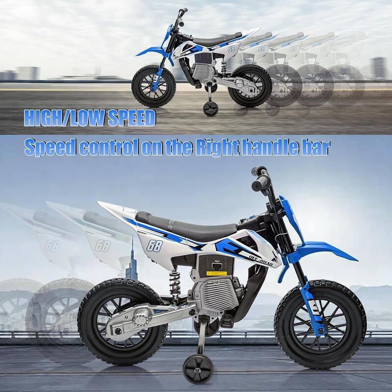 12V Electric Dirt Bike Ride on Toy with 2 * 25W Motor