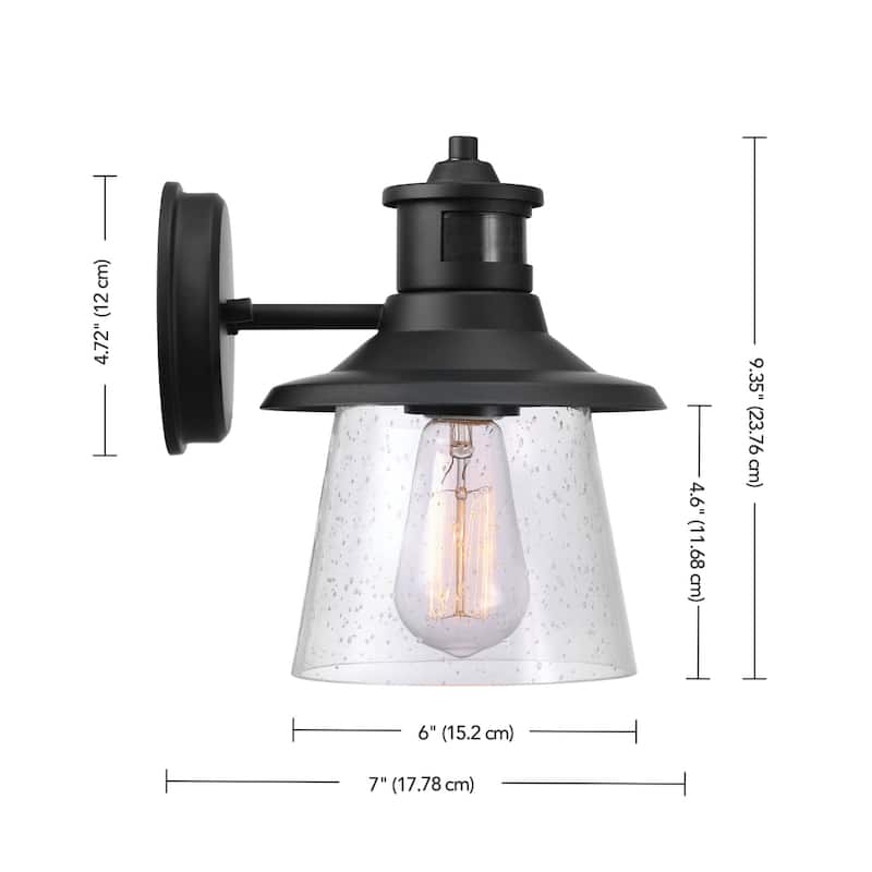 Globe Electric 91007495 Juno 10" Tall Outdoor Wall Sconce