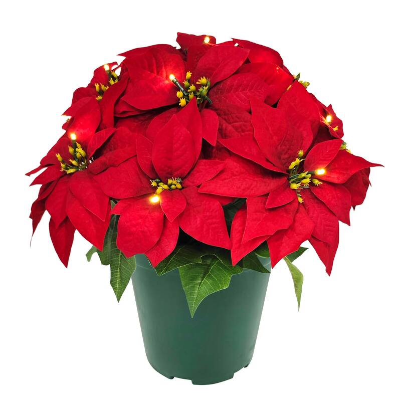 Puleo International 22" Pre-Lit Battery-Operated Artificial Potted Red Poinsettias