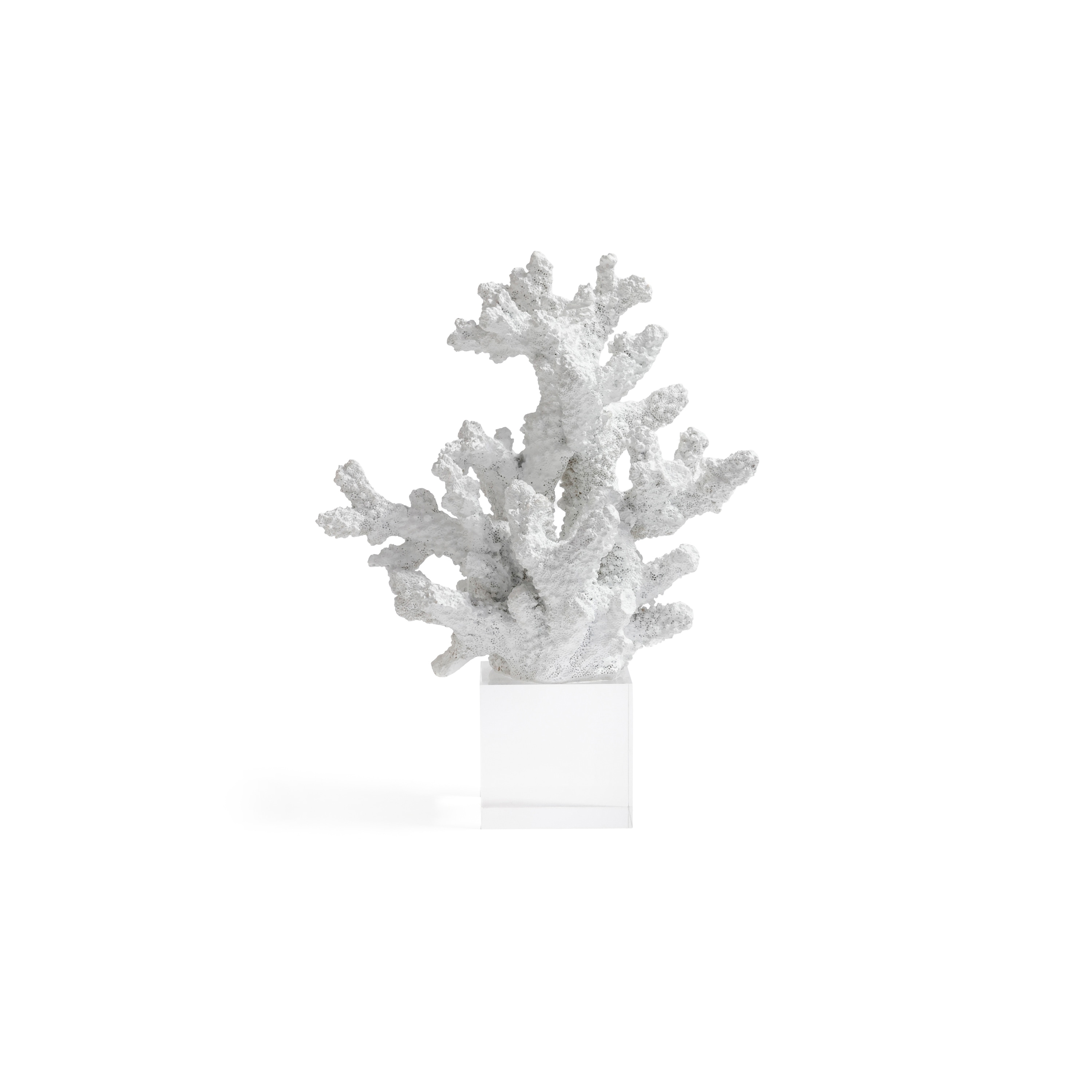 White Resin Coral Sculpture on Acrylic Base