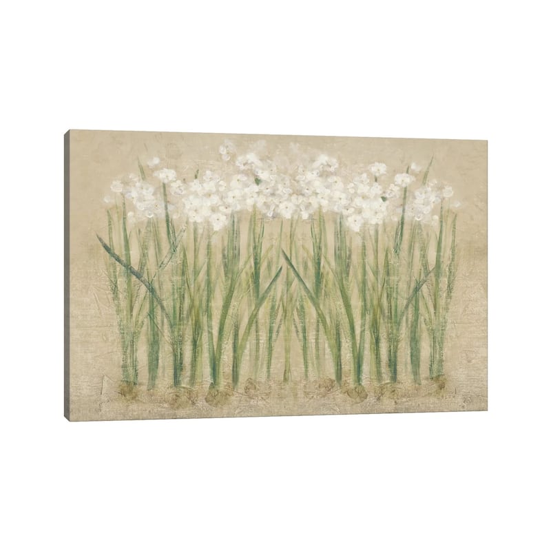 iCanvas "Narcissus Cool " by Cheri Blum Canvas Print