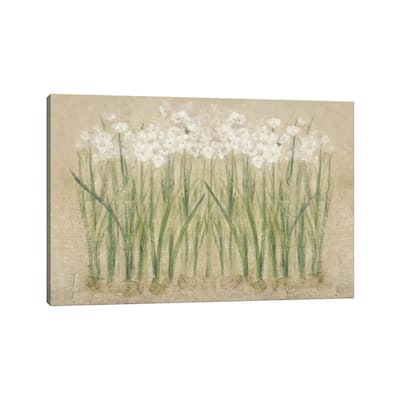 iCanvas "Narcissus Cool " by Cheri Blum Canvas Print