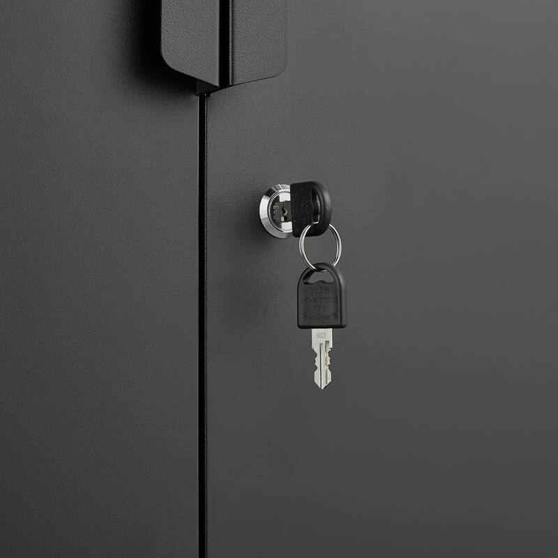 Modern 2-Door Filing Cabinet, Organization Cabinet with Lock, 4 Adjustable Shelves, for Home Office, Black