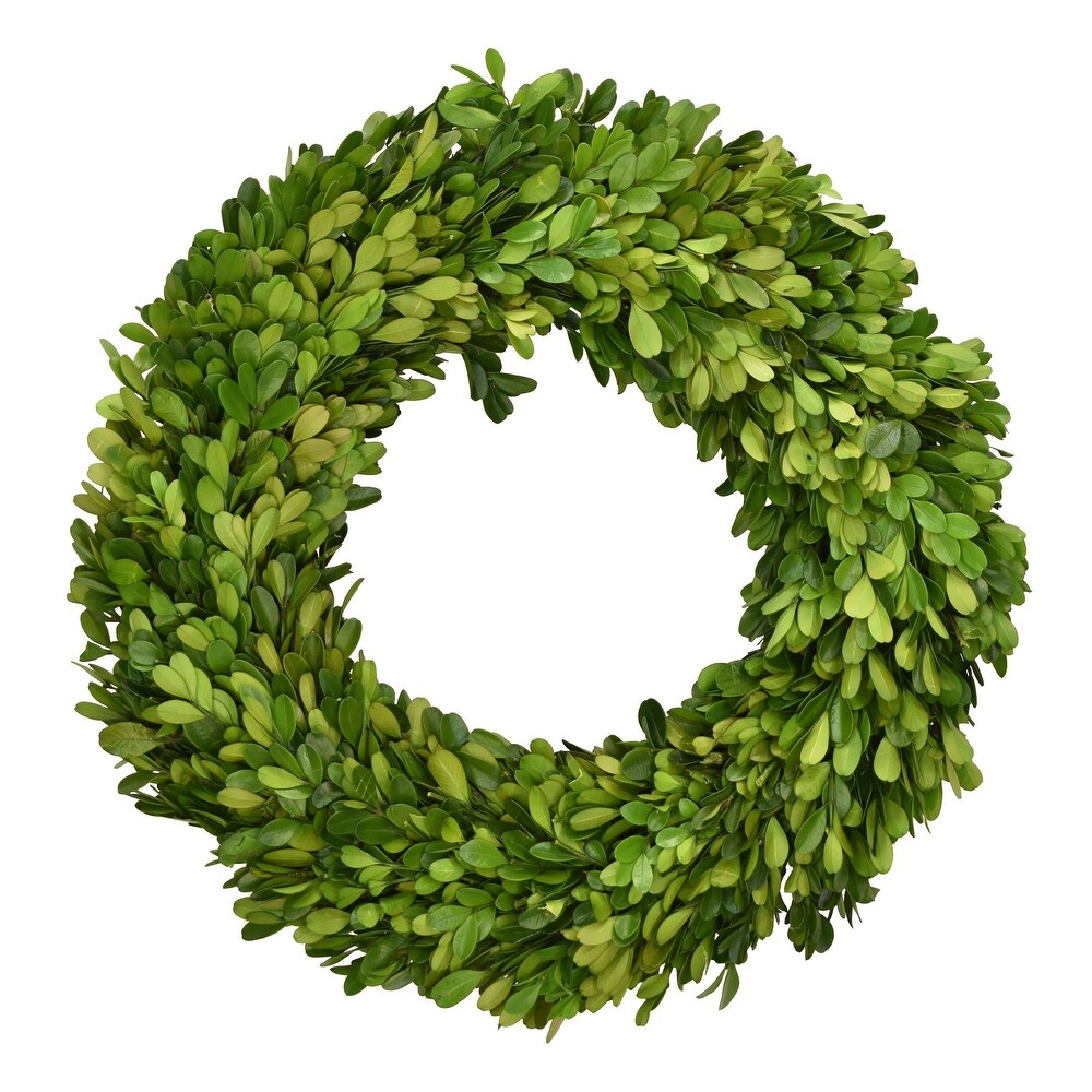 Preserved Green Heart-Shaped Wreath, 16Dia.