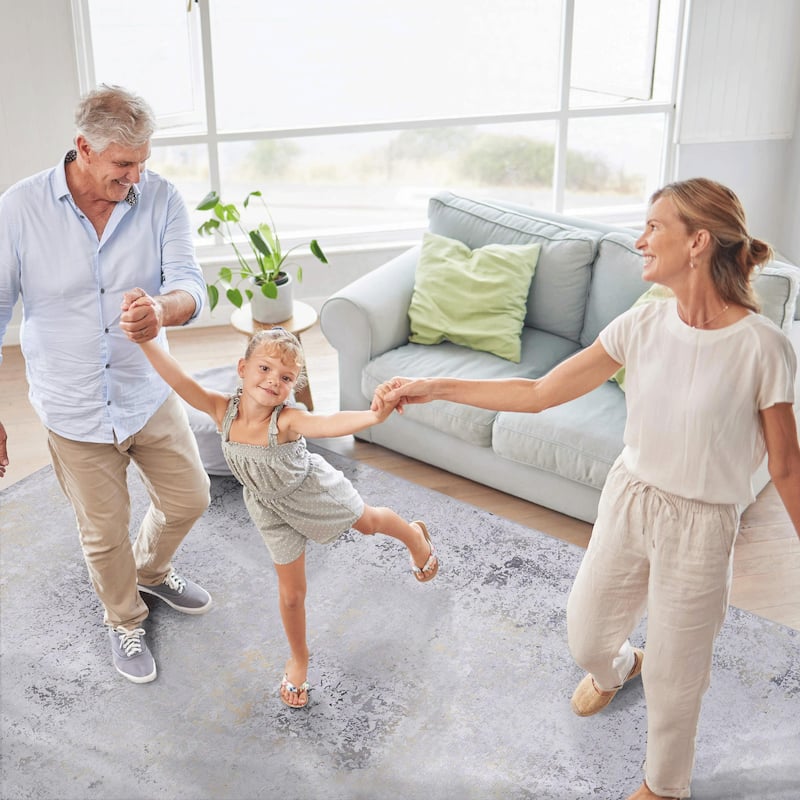 Area Rugs 4x6 Living Room,Washable Rug,Low-Pile,Non-Slip,Non-Shedding,Foldable,Kid & Pet Friendly for living room - 6' x 7'