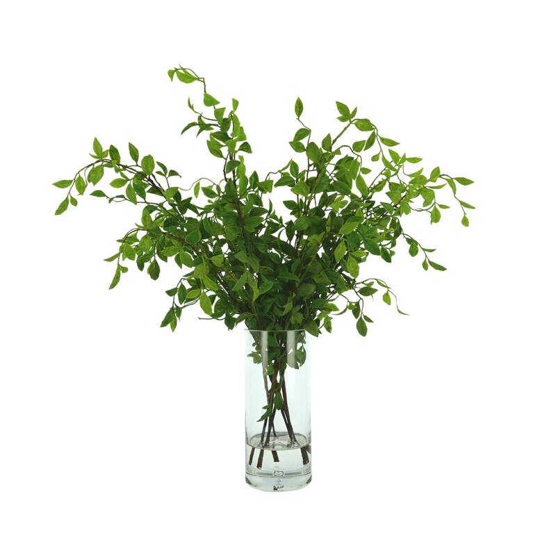 Organic Modern Nandina Arranged in Glass Vase - Green