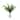Organic Modern Nandina Arranged in Glass Vase - Green