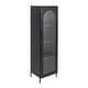 preview thumbnail 43 of 51, Solstice Metal Cabinet with 3 Adjustable Storage Shelves and Arched Glass Door Tall Cabinet - Matte Black