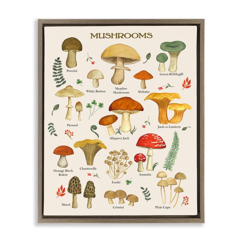 Stupell Foraging Mushrooms Studies Framed Floater Canvas Wall Art Design by Sharon Lee - 25 x 31 - Brown