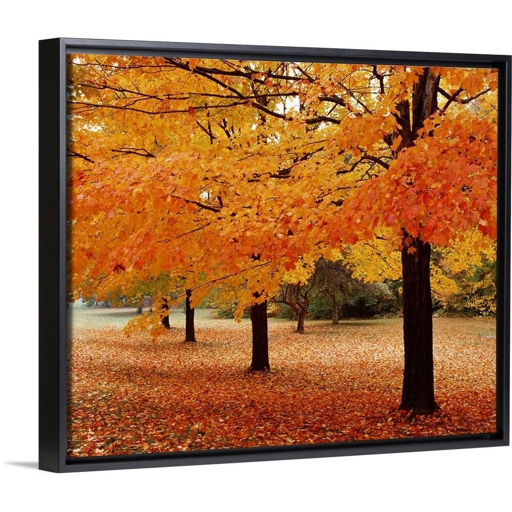 Shop New York State Erie County Chestnut Ridge Country Park