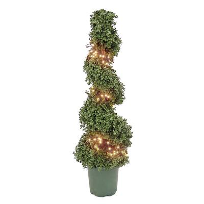 National Tree Company 44-Inch Prelit Artificial Boxwood Spiral Tree - Green - 44 in