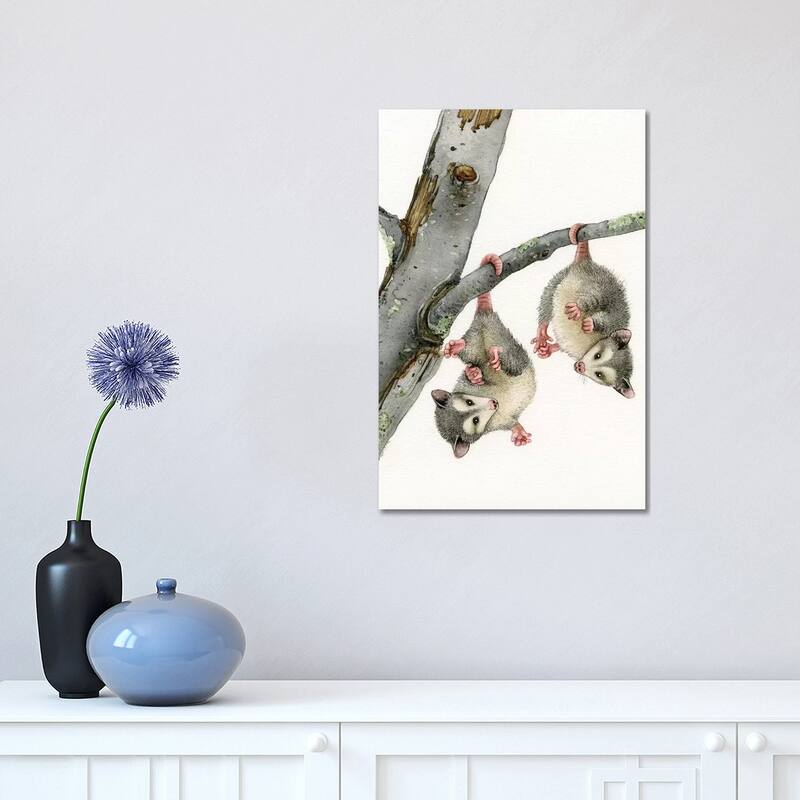 iCanvas "Playful Possums" by Tracy Lizotte Canvas Print - 18x12x1.5