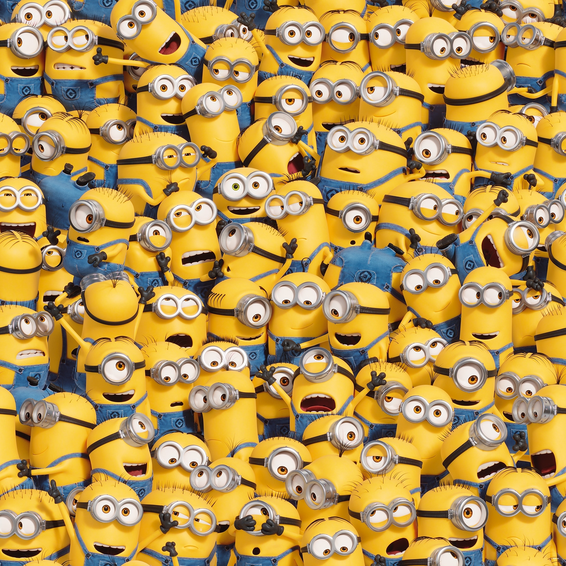 Minions One In A Minion Peel and Stick Mural