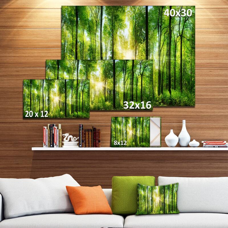 Designart "Forest with Rays of Sun Panorama" Landscape Canvas Print