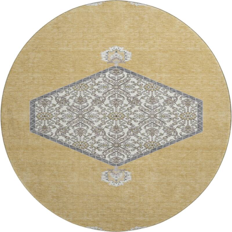 Premium Washable Super Soft Traditional Global Mayfield Rug