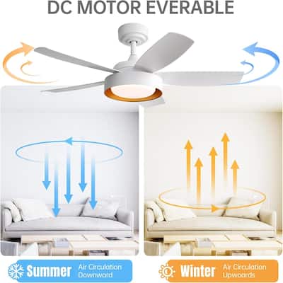 42 Inch Ceiling Fan with Lights and Remote Control Bedroom Ceiling Fan Noiseless
