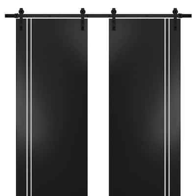 Sturdy Double Barn Door 36 x 80 with Planum 0310 Matte Black with 13FT