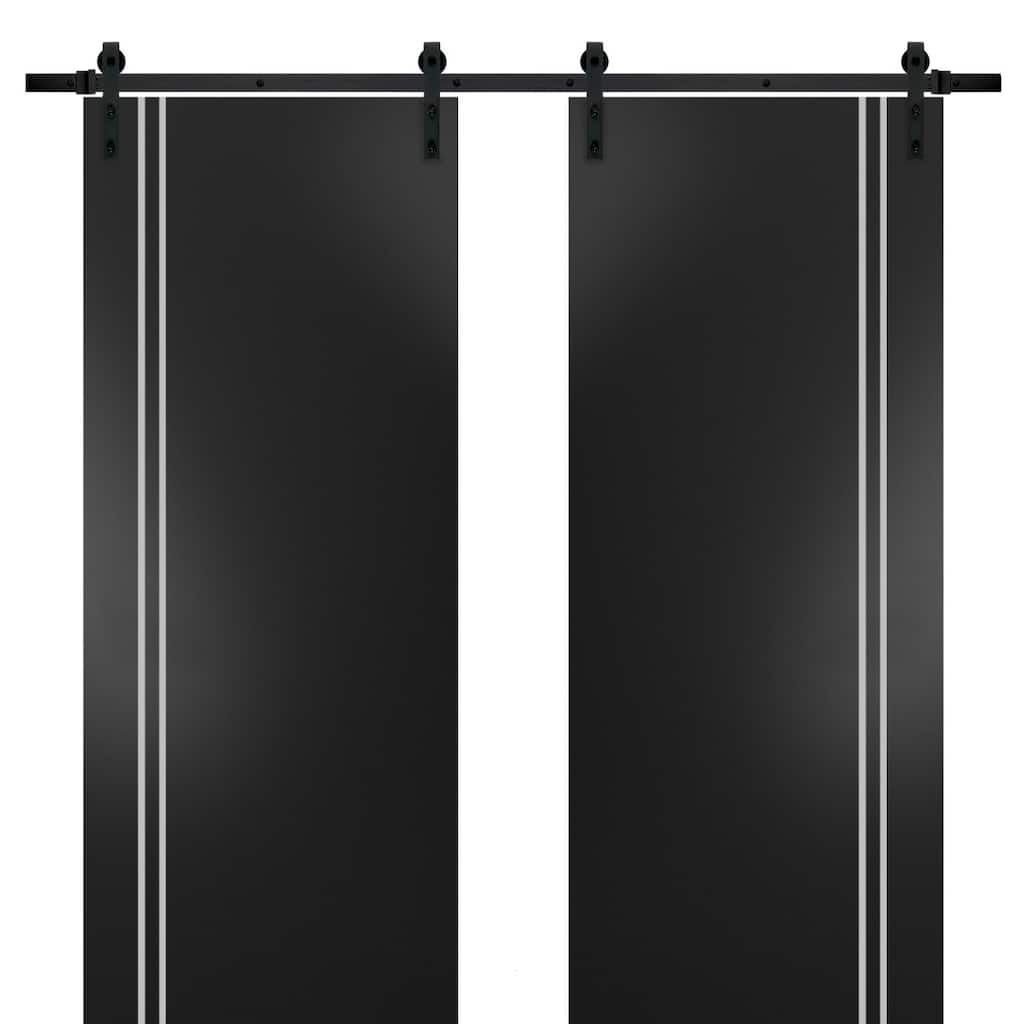 Sturdy Double Barn Door 36 x 80 with Planum 0310 Matte Black with 13FT