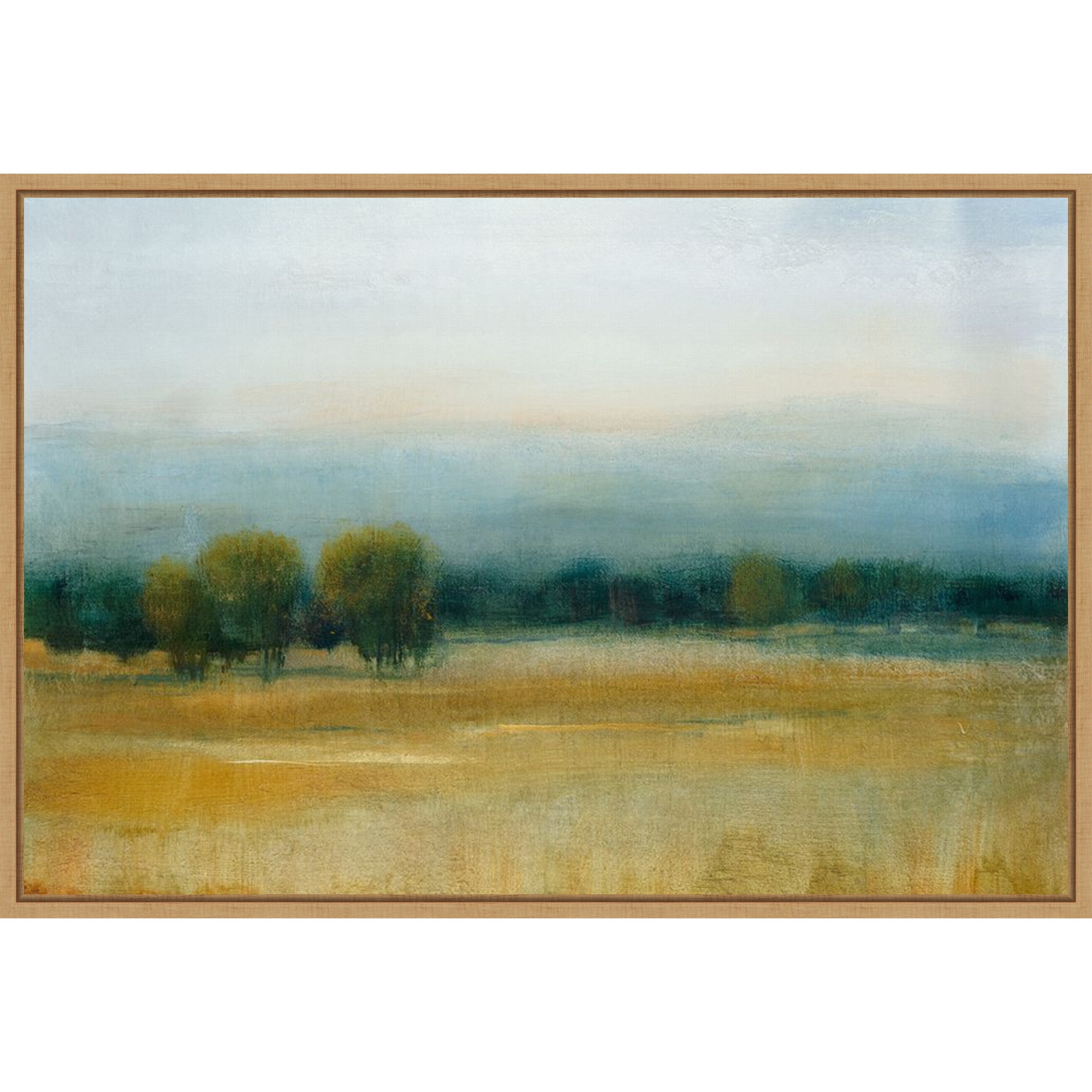 Tranquil Morning I by Tim Otoole Framed Canvas Wall Art - Sylvie Maple