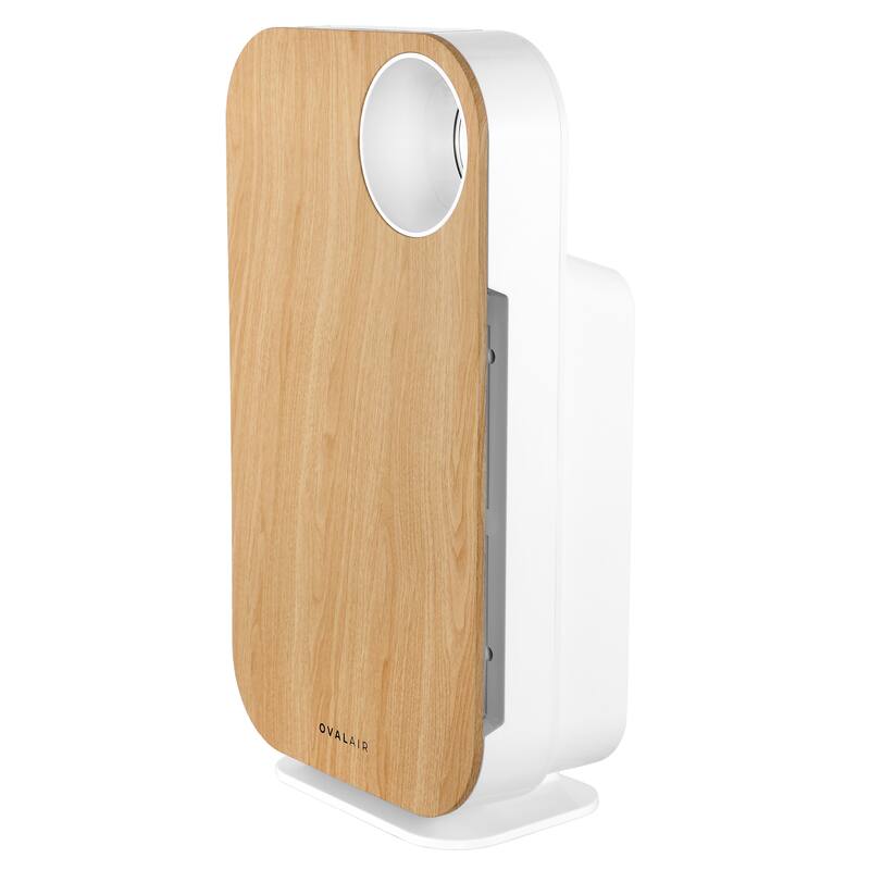 OVAL AIR 3-Stage H13 True HEPA 5-in-1 Air Purifier for Rooms up to 600 sq. ft. reduces Allergies, Asthma, Pets, Odor, Smoke