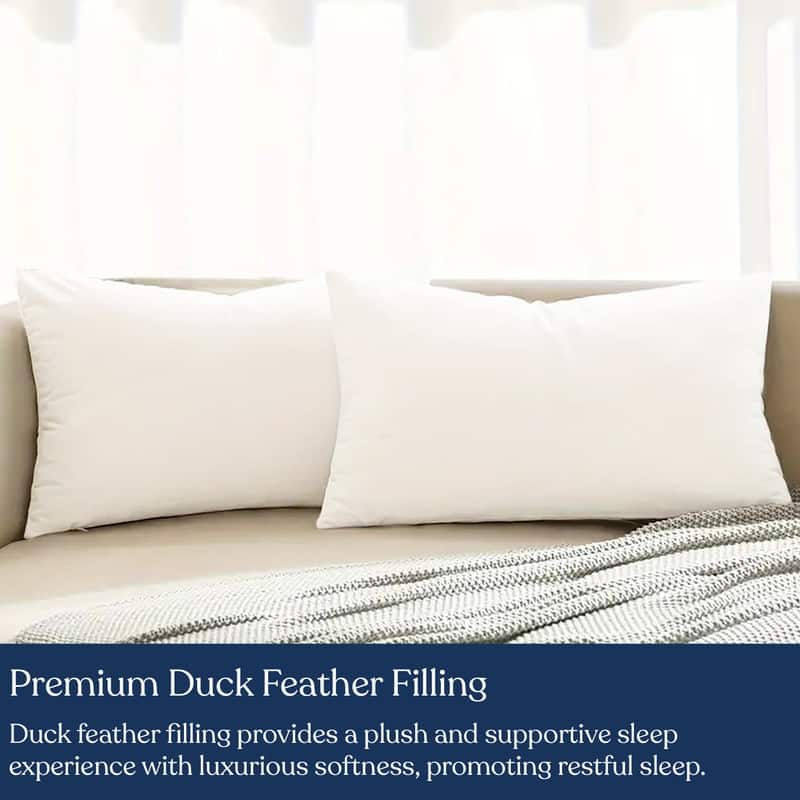 Delara Premium Organic Cotton Pillow Insert, 100% White Duck Feather Filling, Set of 2