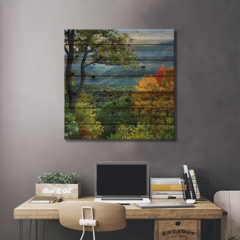 Deciduous Forest In Autumn, Blue Ridge Parkway, North Carolina Print On Wood by Tim Fitzharris - Multi-Color