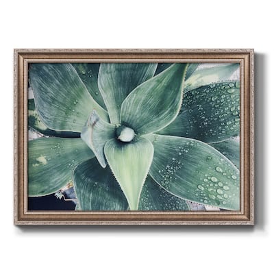 Green Tropical Succulent VIII Premium Framed Canvas- Ready to Hang