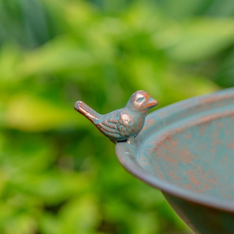 Round Pedestal Birdbath with Bird Details