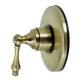 Option Antique Brass