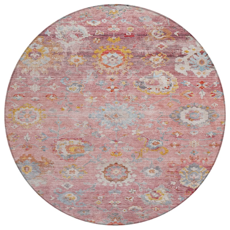 Machine Washable Indoor/ Outdoor Vintage Traditional Chantille Rug