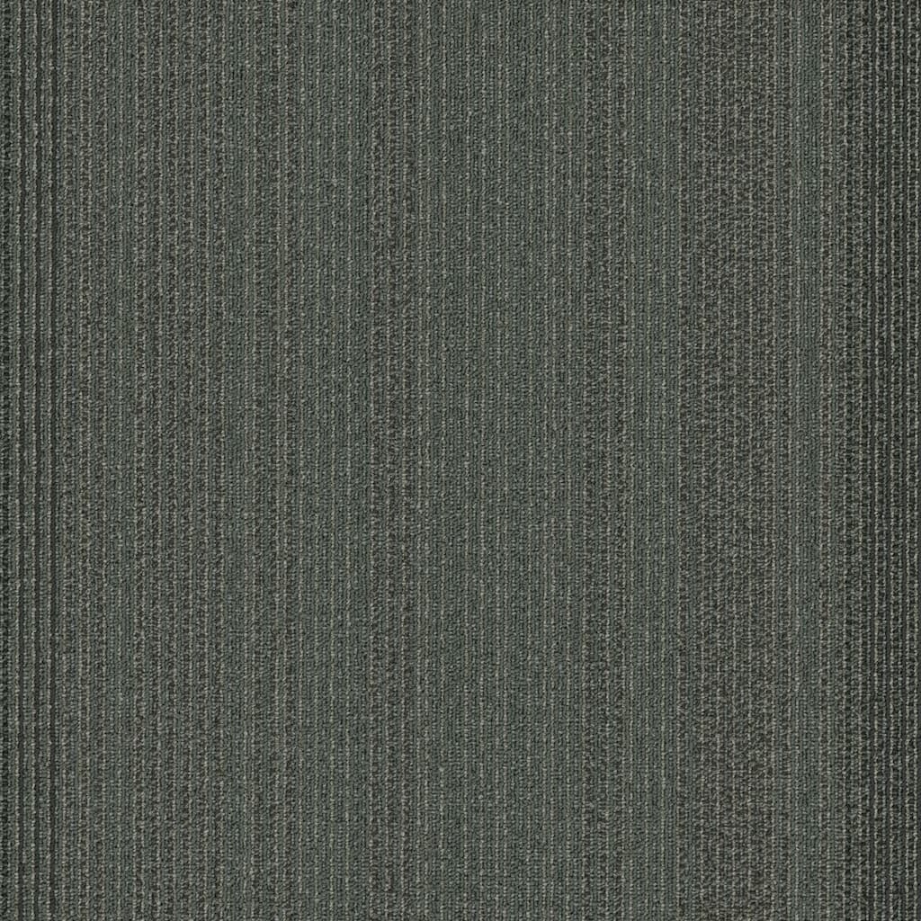 Shaw Philadelphia Commercial Practical 24" x 24" Glue Down Carpet Tile