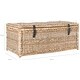 preview thumbnail 14 of 14, happimess Caden 46" Wicker Storage Trunk, Natural