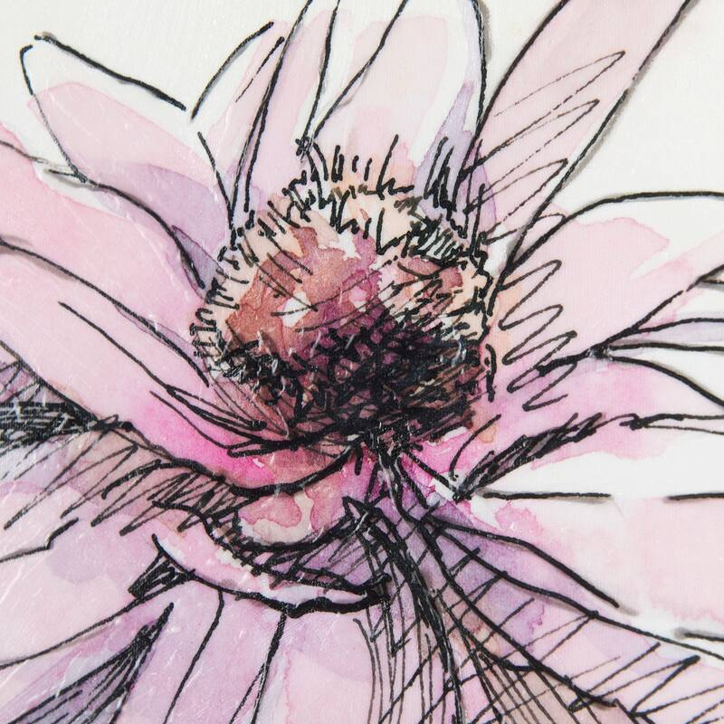 Echinacea I (30 x 45) Canvas Art Print