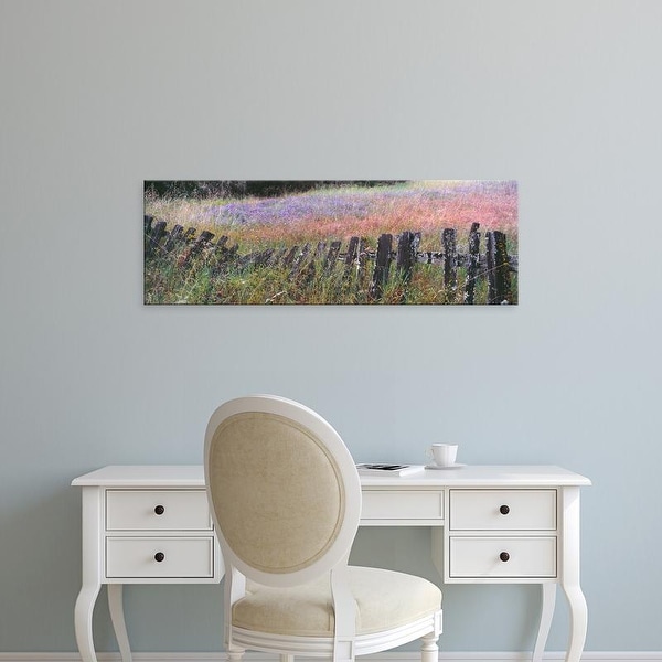 Easy Art Prints Panoramic Image 'Lupine field, Quail Hollow Ranch County Park, Felton, SantCruz, California' Canvas Art