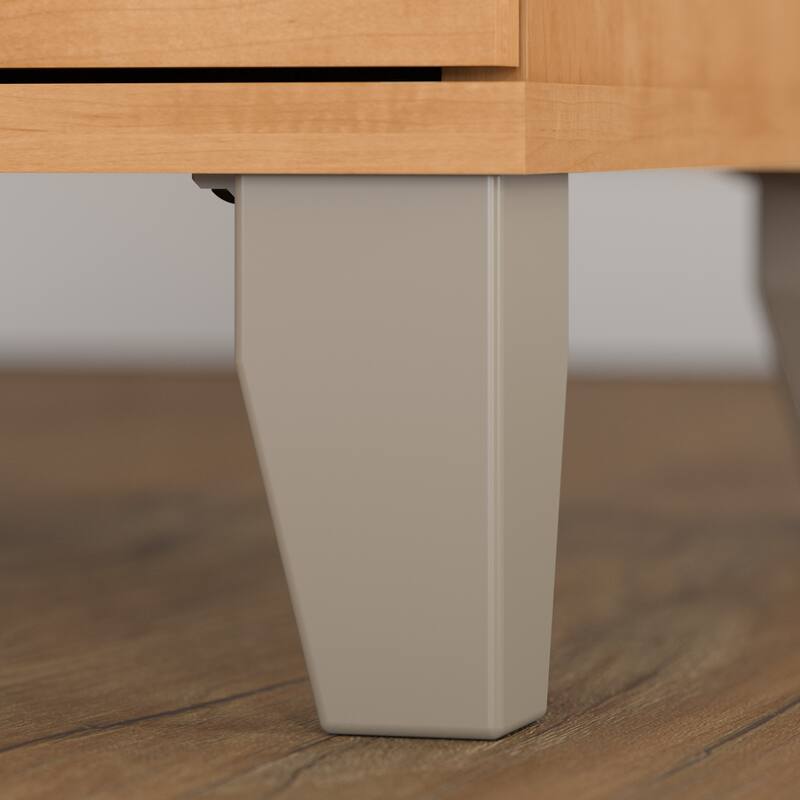Bush Furniture Somerset 2 Drawer Lateral File Cabinet with Storage