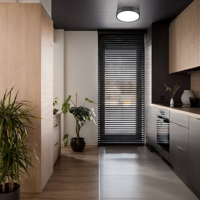 Algar by Z-Lite 1 Light Flush Mount in Matte Black with Frosted Acrylic Shade. - Matte Black
